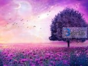 13 Padrejtësit e burrit ndaj gruas?