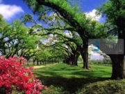 Djaloshi që e shihte vendin e tij në Xhennet!!