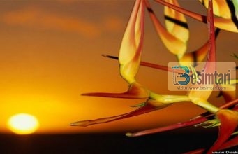 RRUGA DREJT XHENNETIT