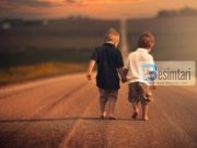 SHEMBULLI I SHOKUT TË MIRË