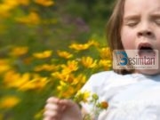 Çfarë duhet të dini për tështimën