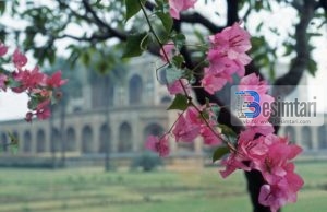 Si e fitoj nëna Xhenetin