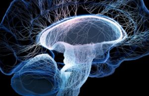 Mrekullia në trupin e njeriut! Informacione te dobishme që duhet t’i dijë çdo njeri!