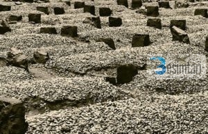 Në varr as me çorapë