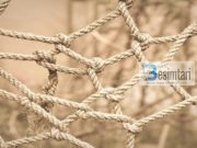 Shndërrimi i zemrave.