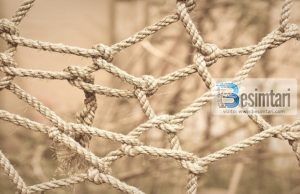 Shndërrimi i zemrave.