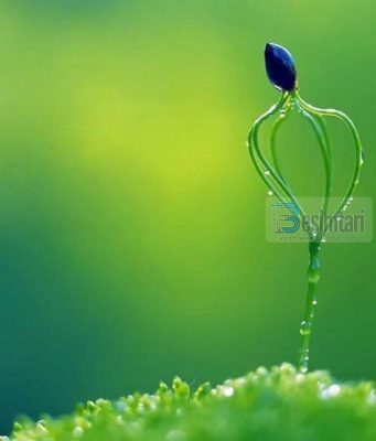 Vallë, cila ka qenë ndjesia e tyre?