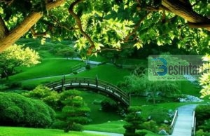 Si të ndërtosh kështjella në Xhenet