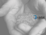 Bereqeti i kujdesit ndaj jetimit. Histori jete!