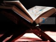 SHKAKU I ZBRITJES SË SUREVE “FELEK” DHE “NAS”