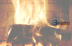 A lejohet vrasja e insketeve me zjarr?