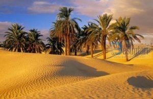 Çfarë mund të bësh për 10 sekonda?