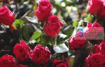 Lule për nënën, sa nuk është bërë vonë!