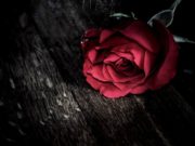 A e ke ditur ? Thuaj Bismilah para cdo pune – ja se nga cka mund te ruhesh