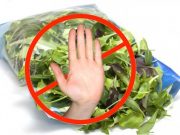 Përse nuk duhet të blini kurrë sallatë të paketuar, ja cilat janë rreziqet që ju kanosen