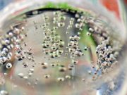 Pijet e gazuara shkak i shumë sëmundjeve