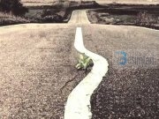 REALITETI I ARDHMËRISË!!