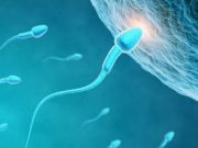 Krijimi i njeriut nga pika e farës! Zbulimet e fundit të shkencëtarëve hedhin poshtë besytnitë e njerëzve dhe vërtetojnë atë që është përshkruar në Kur’an!