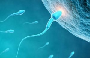 Krijimi i njeriut nga pika e farës! Zbulimet e fundit të shkencëtarëve hedhin poshtë besytnitë e njerëzve dhe vërtetojnë atë që është përshkruar në Kur’an!