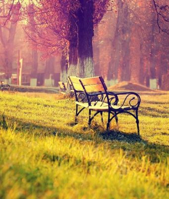 Të keqen kthene me të mirë