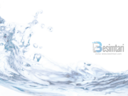 Tu japësh ujë të tjerëve është sadakaja më e madhe