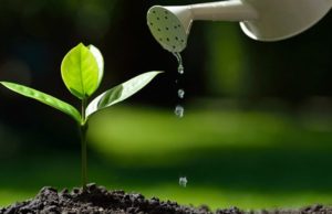 MË DHA TREFISH MË SHUMË SE QË KËRKOVA