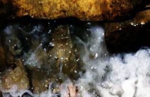 Uji zem zem uji më i mirë në botë – Ujë-ilaç për çdo sëmundje