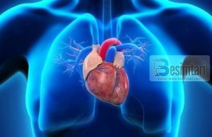 TË QESHURIT E SHUMTË EDHE PRAKTIKISHT E VDES ZEMRËN