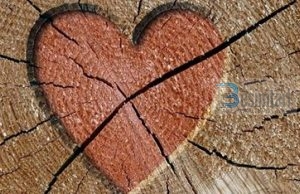 Theksoji të mirat e burrit tënd