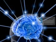 Pajisja në trupin tuaj që mund të kopjojë një milionë faqe të dhënash rër njëzet minuta