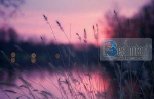 Emocionale: PLAKA DHE LETRA