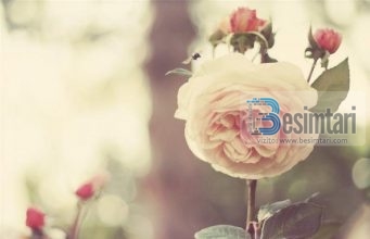 UDHËZO NË PUNË TË MIRA