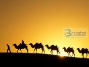 A kanë qenë vëllezërit e Jusufit (alejhis-selam) profetë?