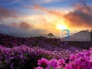 A mund të na përmblidhni ajetet që flasin për xhenetin?