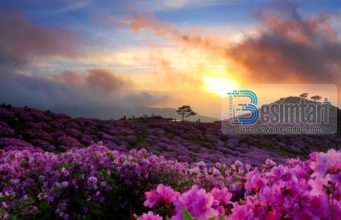 A mund të na përmblidhni ajetet që flasin për xhenetin?