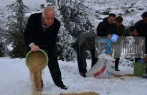 Hidhni grurë majave të maleve që ta dinë njerëzit se në tokat e Islamit