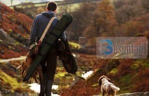 Dispozitat e gjuetisë