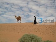 Devotshmëria të sjell rrugëdalje nga nuk ta merr mendja