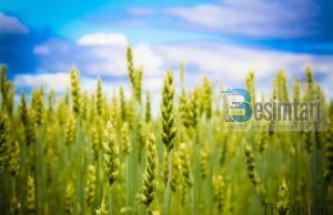 SI TA FITOSH BEREQETIN NË KOHË DHE NË JETË!!