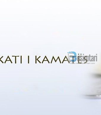 MËKATI I KAMATËS … SA PËRFUNDIM I KEQ!
