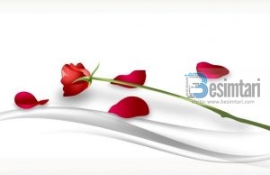 LUMTURIA BASHKËSHORTORE