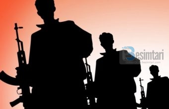 Njohje e shkurtër me disa cilësi të hauarixhëve