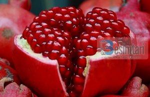 Shega forcon imunitetin