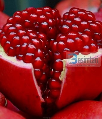 Shega forcon imunitetin