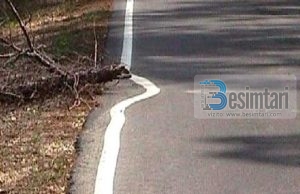 Përtacia, fatkeqësi bashkëkohore