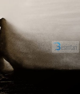 SA I MJERI QË ËSHTË I BIRI I ADEMIT!!