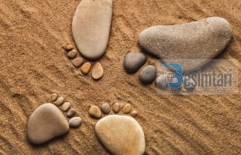 DIALOGU MES NDERIT DHE PATURPËSISË