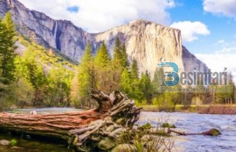 Do e jepja dynjanë dhe çfarë ka në të nëse…!!!