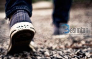 Njerezit ne sjelljet e tyre, ndahen ne shtate kategori: