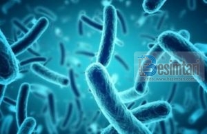 Gjendet fosilet e formave më të vjetra të jetesës në Tokë